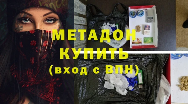 сатива Беломорск