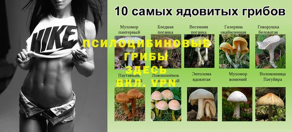 бошки Баксан