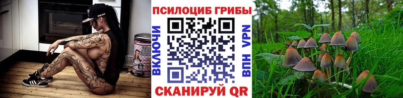 Псилоцибиновые грибы прущие грибы  Верхнеуральск 